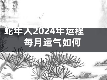 蛇年人2024年运程每月运气如何