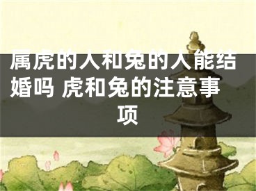 属虎的人和兔的人能结婚吗 虎和兔的注意事项