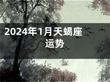 2024年1月天蝎座运势