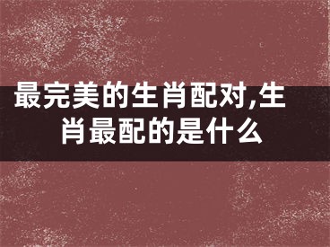 最完美的生肖配对,生肖最配的是什么