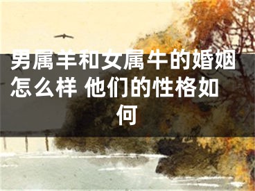 男属羊和女属牛的婚姻怎么样 他们的性格如何
