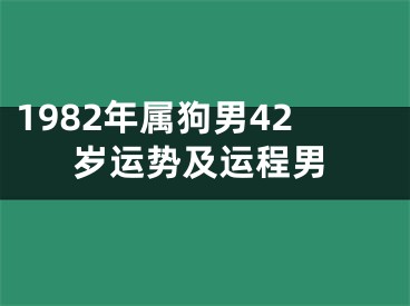 1982年属狗男42岁运势及运程男