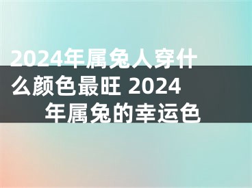 2024年属兔人穿什么颜色最旺 2024年属兔的幸运色