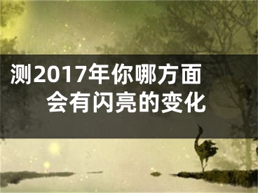 测2017年你哪方面会有闪亮的变化