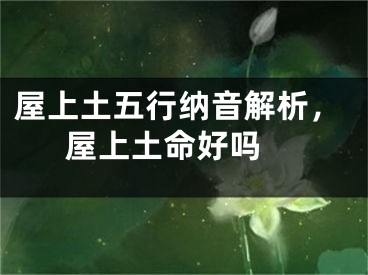 屋上土五行纳音解析，屋上土命好吗 