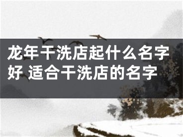 龙年干洗店起什么名字好 适合干洗店的名字