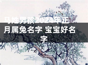 马姓男孩2024年正月属兔名字 宝宝好名字
