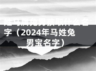 姓马属兔男孩取什么名字（2024年马姓兔男宝名字）