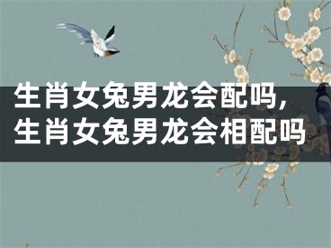 生肖女兔男龙会配吗,生肖女兔男龙会相配吗