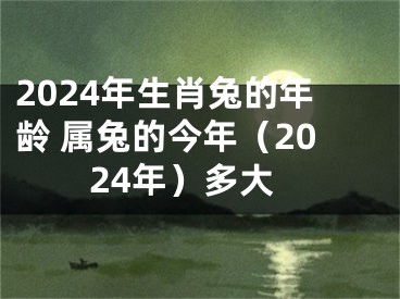 2024年生肖兔的年龄 属兔的今年（2024年）多大