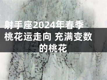 射手座2024年春季桃花运走向 充满变数的桃花