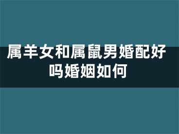 属羊女和属鼠男婚配好吗婚姻如何