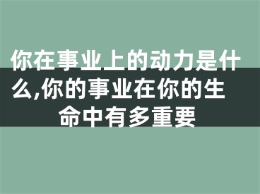你在事业上的动力是什么,你的事业在你的生命中有多重要