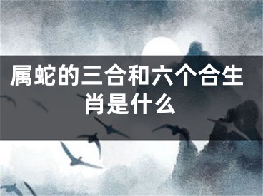 属蛇的三合和六个合生肖是什么