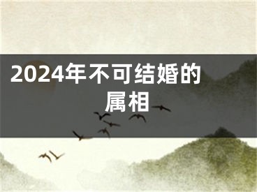 2024年不可结婚的属相