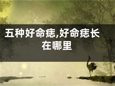 五种好命痣,好命痣长在哪里