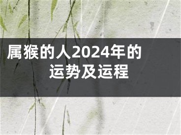 属猴的人2024年的运势及运程