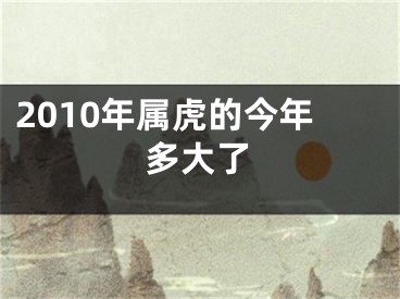 2010年属虎的今年多大了