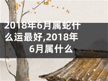 2018年6月属蛇什么运最好,2018年6月属什么