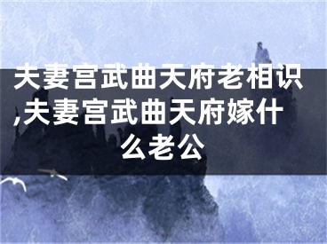 夫妻宫武曲天府老相识,夫妻宫武曲天府嫁什么老公