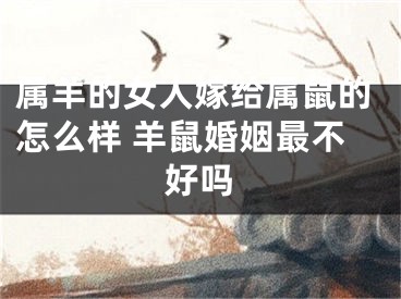 属羊的女人嫁给属鼠的怎么样 羊鼠婚姻最不好吗