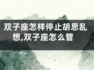 双子座怎样停止胡思乱想,双子座怎么管