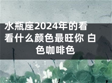 水瓶座2024年的看看什么颜色最旺你 白色咖啡色