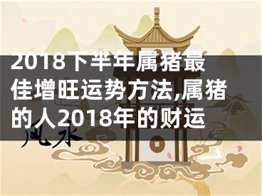 2018下半年属猪最佳增旺运势方法,属猪的人2018年的财运