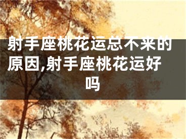 射手座桃花运总不来的原因,射手座桃花运好吗