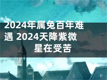 2024年属兔百年难遇 2024天降紫微星在受苦