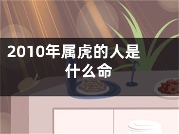 2010年属虎的人是什么命