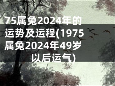 75属兔2024年的运势及运程(1975属兔2024年49岁以后运气)