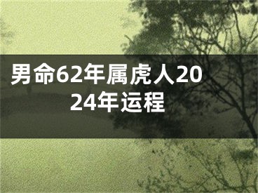男命62年属虎人2024年运程