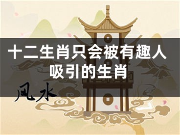 十二生肖只会被有趣人吸引的生肖