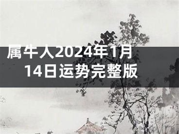 属牛人2024年1月14日运势完整版