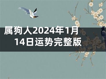 属狗人2024年1月14日运势完整版