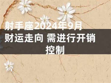 射手座2024年9月财运走向 需进行开销控制