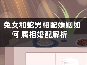 兔女和蛇男相配婚姻如何 属相婚配解析