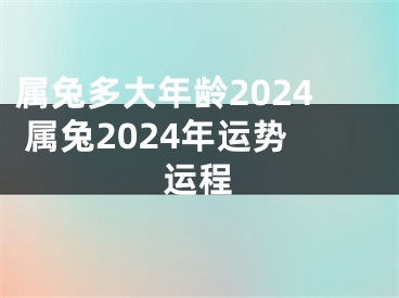 属兔多大年龄2024 属兔2024年运势运程