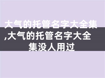 大气的托管名字大全集,大气的托管名字大全集没人用过