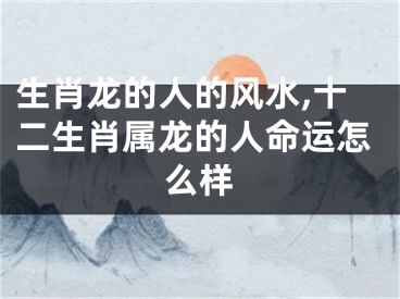 生肖龙的人的风水,十二生肖属龙的人命运怎么样