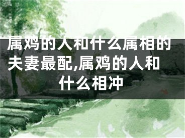 属鸡的人和什么属相的夫妻最配,属鸡的人和什么相冲