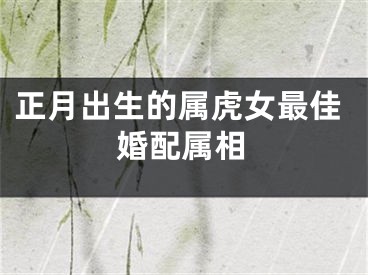 正月出生的属虎女最佳婚配属相