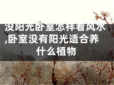 没阳光卧室怎样看风水,卧室没有阳光适合养什么植物