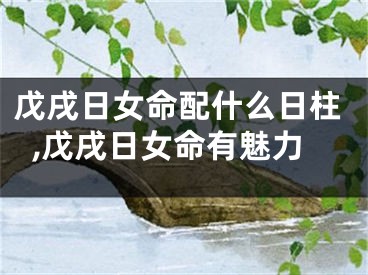 戊戌日女命配什么日柱,戊戌日女命有魅力