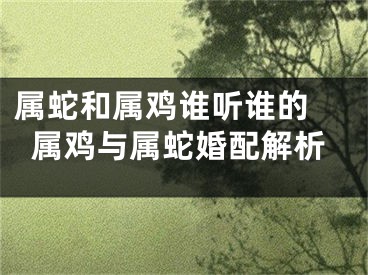 属蛇和属鸡谁听谁的 属鸡与属蛇婚配解析