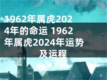 1962年属虎2024年的命运 1962年属虎2024年运势及运程