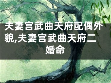 夫妻宫武曲天府配偶外貌,夫妻宫武曲天府二婚命
