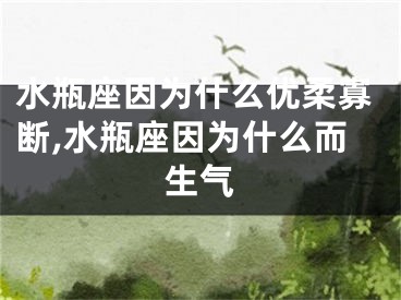 水瓶座因为什么优柔寡断,水瓶座因为什么而生气