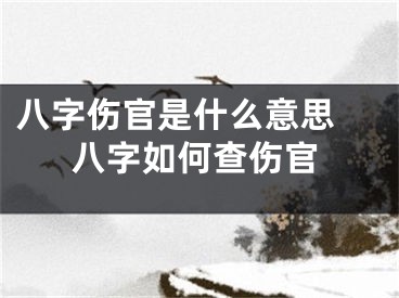 八字伤官是什么意思 八字如何查伤官